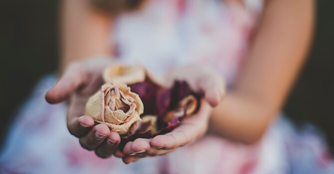 Treatment for Highly Sensitive Persons (HSPs) image