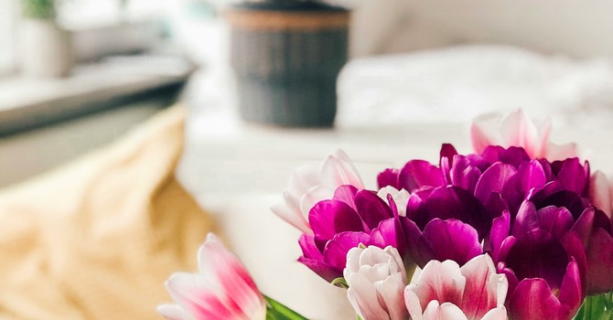 Looking to Go Deeper in Therapy?