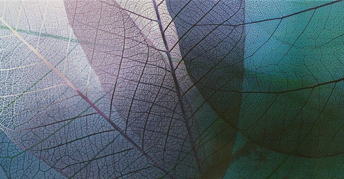 Life Change & Adjustment Anxiety