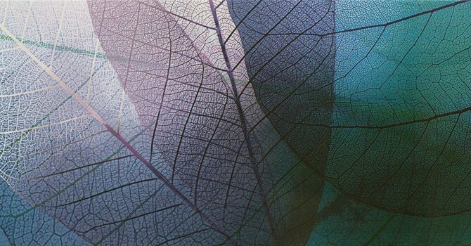 Life Change & Adjustment Anxiety image