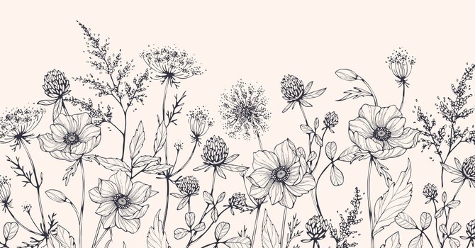 Now That I Understand My Patterns… What Do I Do Next