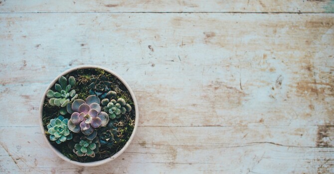 Fear of Abandonment in Relationships: How to Stop Abandoning Yourself to Keep Others Close