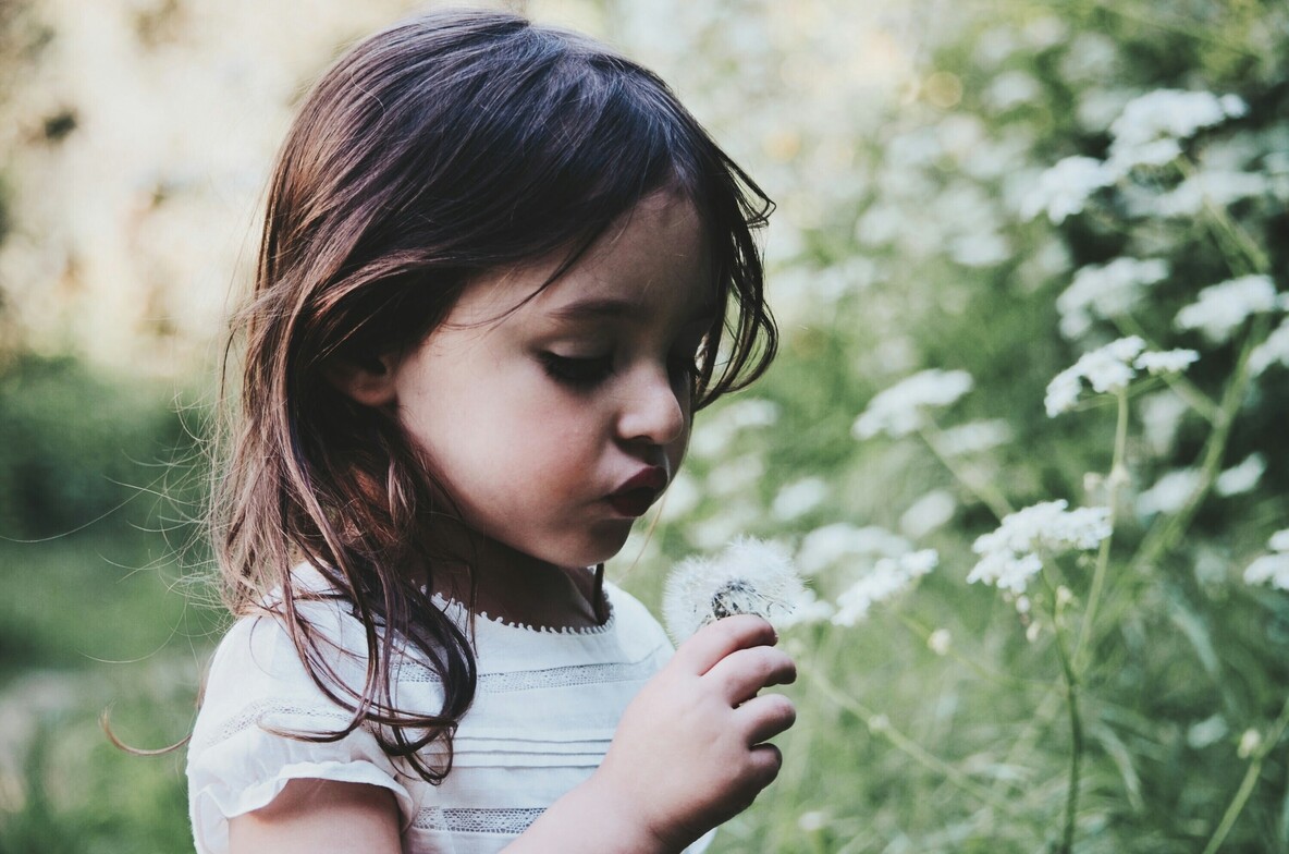 Child holding a dandelion in a field symbolizing childhood attachment wounds and emotional rejection