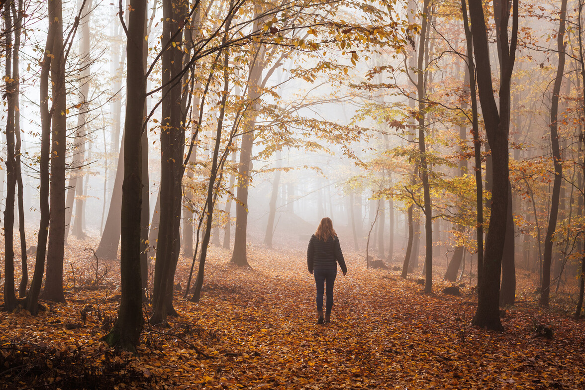Woman walking alone through a misty autumn forest.