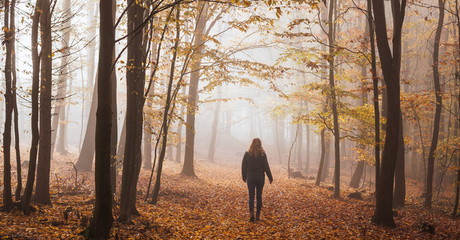 Is Everything Exposure Therapy? Why Growth Often Means Moving Toward What We Avoid