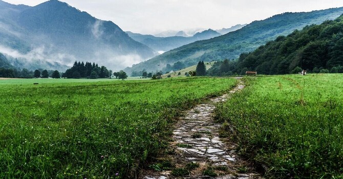 Why Being “Not Chosen” Hurts So Much — And What It’s Really Pointing To image